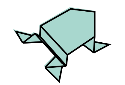 shape